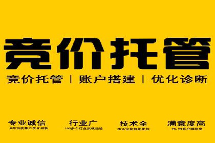 SEM推广策略：竞价代运营助力业绩翻倍